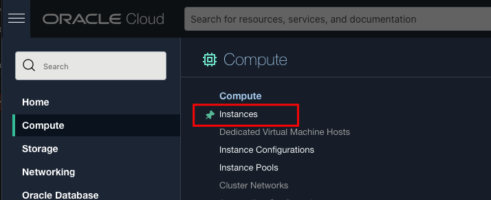 OCI Select Compute/Instance
